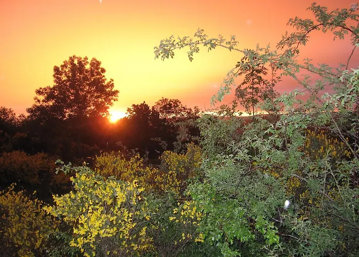Nocleg ze śniadaniem Le Clos De Banes Argences-en-Aubrac