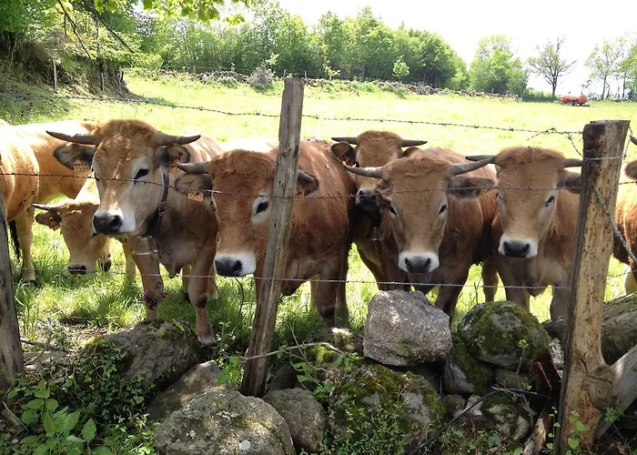 Nocleg ze śniadaniem Le Clos De Banes