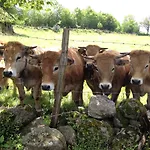 B&B Le Clos De Banes