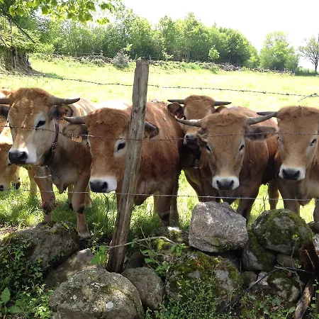 Bed and Breakfast Le Clos De Banes